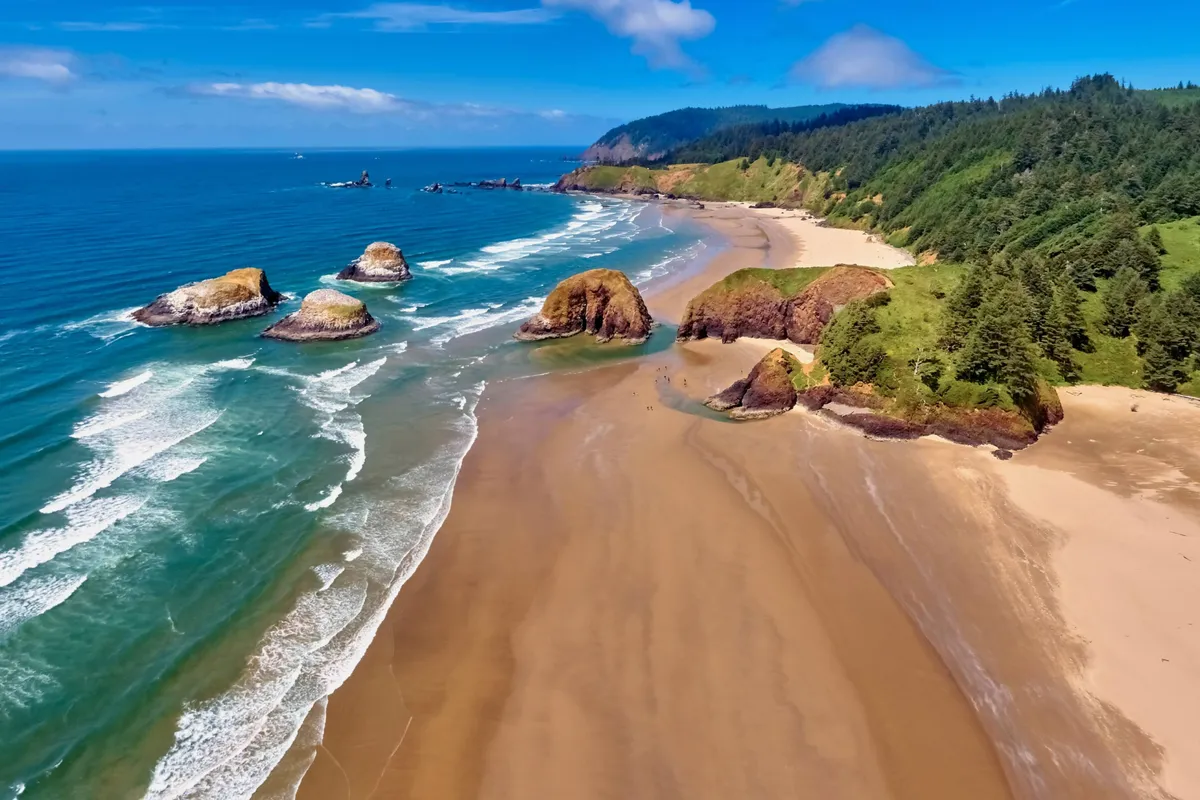 A tranquil view of the sandy beach stretches out beneath dramatic rock formations and forested cliffs. The ocean glows under a sunset sky, and unique seashells are scattered along the shore. The natural elements create an inviting environment for beachcombing, exploring, and relaxing, echoing the sense of adventure and discovery ideal for children and families.